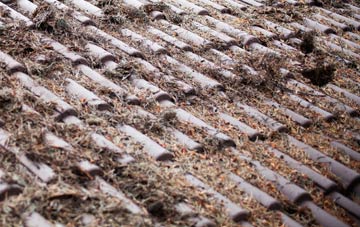 Reigate Heath roof cleaning companies