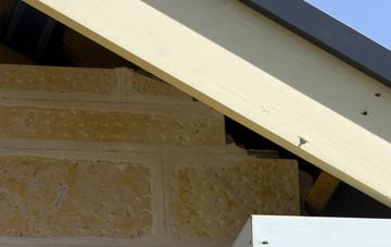 soffit repair Reigate Heath